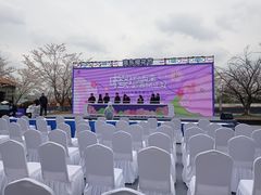 -高东镇樱花园