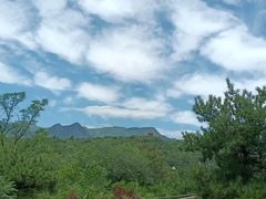 -白水寺森林公园