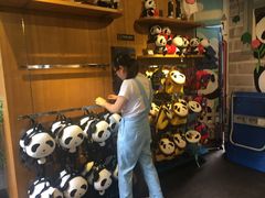 -熊猫屋(宽窄巷子景区店)