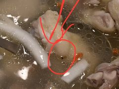 -龙泉人椰子鸡.糟粕醋.海南菜(三亚旗舰店)