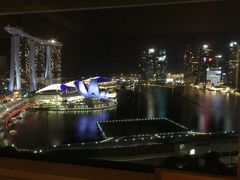 -新加坡丽思卡尔顿美年酒店