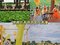 -天津东丽湖风景区