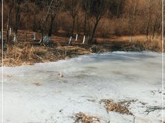 -蒲河岛湿地公园