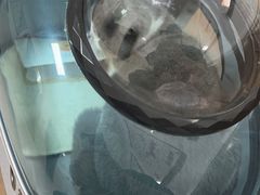 -阿荣24H宠物医院·综合型转诊中心·CT·核磁影像中心