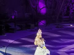 -广州长隆国际大马戏