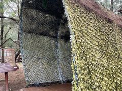 -北海金海湾红树林生态旅游区