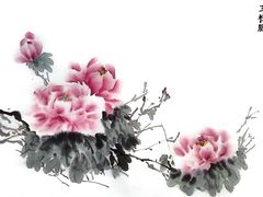 -尼莫儿童美术(三阳路融科天城校区)