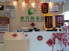 -东方启音·儿童康复中心·自闭症干预·语言迟缓·发育迟缓(深圳宝安中心)