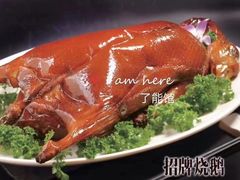 -顺德了能馆(虎门店)
