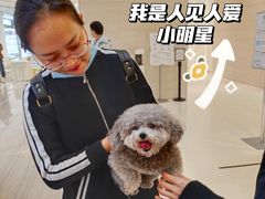 -金茂览秀城