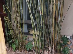 -咸宁万豪温泉谷度假区