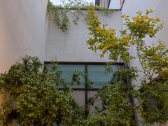 -青果巷历史文化街区