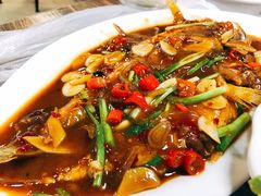 -东极岛海鲜