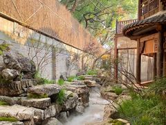 -叶叶菩提(太原别墅店)