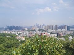 -梅峰山地公园