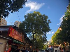-李记 河口老字号越南小卷粉