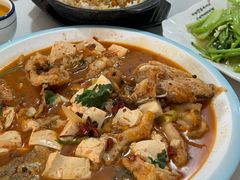 -煲来饱去冷水鱼