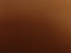 -鹅冠港式茶餐厅(来福士店)