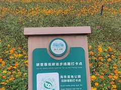 -海珠湖公园