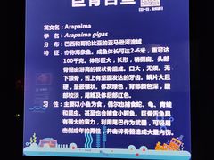-海合安武汉极地海洋公园