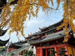 -上海东林寺(金山区)