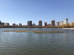 -莲花池公园