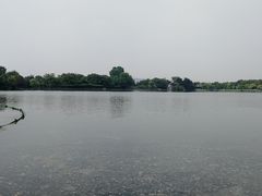 -西湖外事游船(花港观鱼码头)