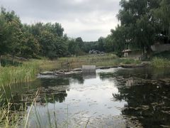 -青龙湖公园