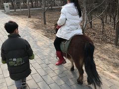 -1982农场