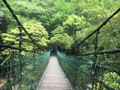 -溪口-滕头旅游景区