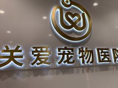 -关爱宠物医院·猫科中心·消化科(滨湖万达分院)