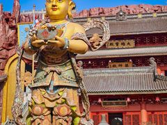 -上海东林寺(金山区)