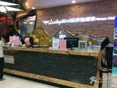 -金吉鸟健身游泳
