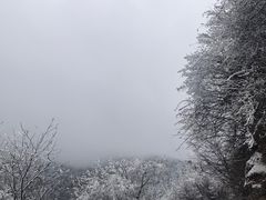 -沣峪口