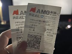 -AMG海上明珠影城(上海环球港RealDCinema店)