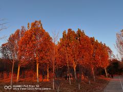 -北京西山国家森林公园