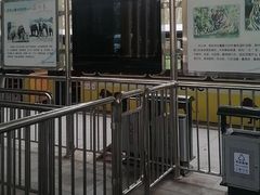 -秦皇岛野生动物园