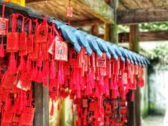 -重庆武隆天生三桥风景区-神鹰天坑