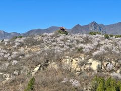 -白水寺森林公园