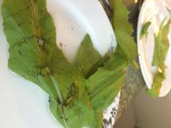 稻香湖景温泉会馆-湖景温泉