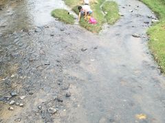 -红山村