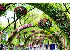 -共青国家森林公园-售票处