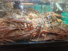 -紫阳海鲜楼·传承闽味(长乐路总店)
