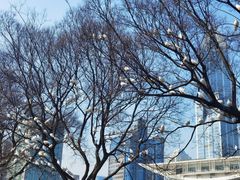 -人民广场
