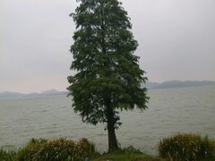 -四明山国家森林公园