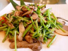 芫爆松茸-云腾食府·云南菜