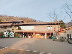-都江堰中华大熊猫苑