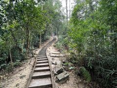 -火炉山森林公园