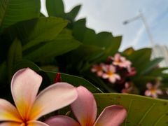 -瑞幸咖啡(青秀区龙光世纪A座店)