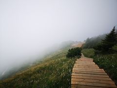 -白草畔自然风景区